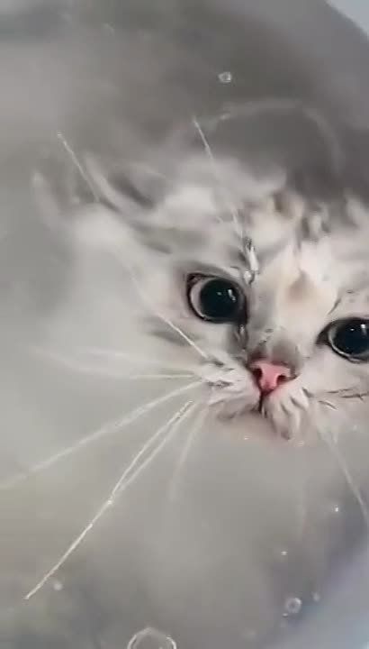 ���� �� �� ������, ��� �������� ������� ������, �� ���. �������������� ��