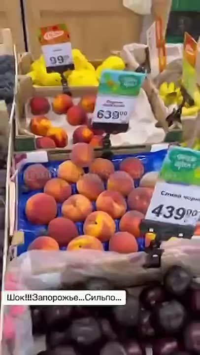 ����� ���������, �������� �������������� �������� �������