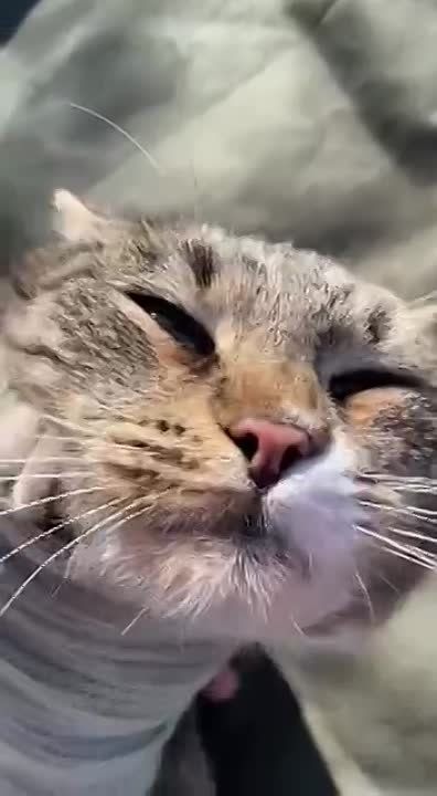 ���� ����� ������� ����������� ������ ���������� ��������