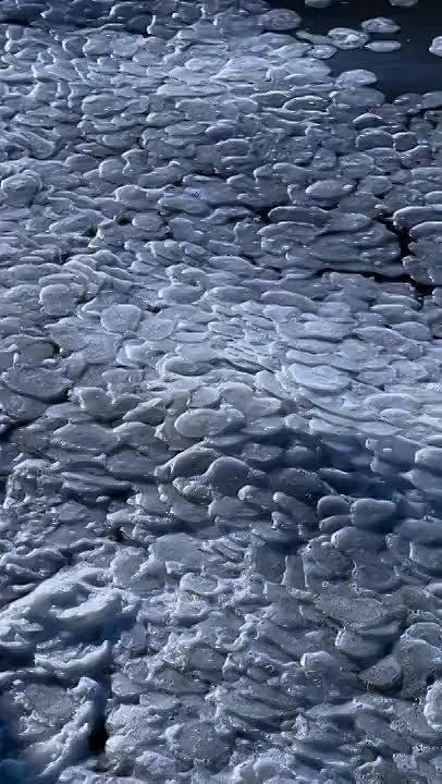 ��������� ��� �� ����������� ������������� � ���������� ������ ������������� �������