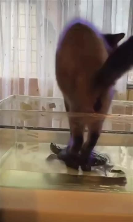 - ������ ���, ��� ������?