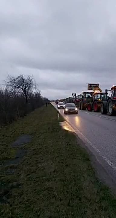 ��� �������� ������� 8 ������! �������� 2 ��� �� ���������������� ����������, �������������� ��������� ��������