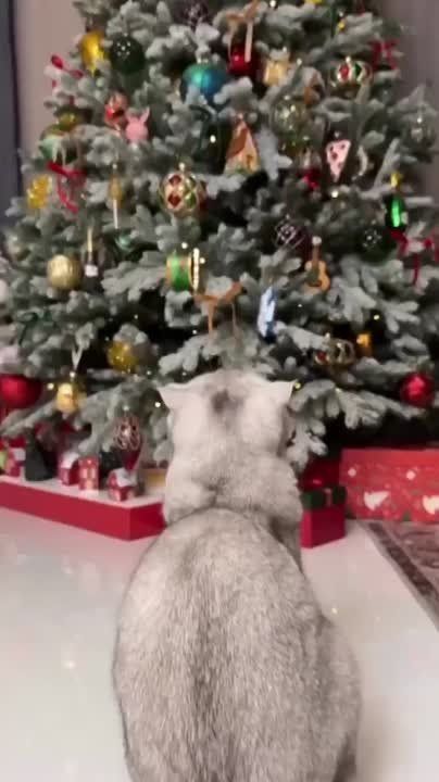 �������� ������� � �������, ������� ����� ����� �������� ����