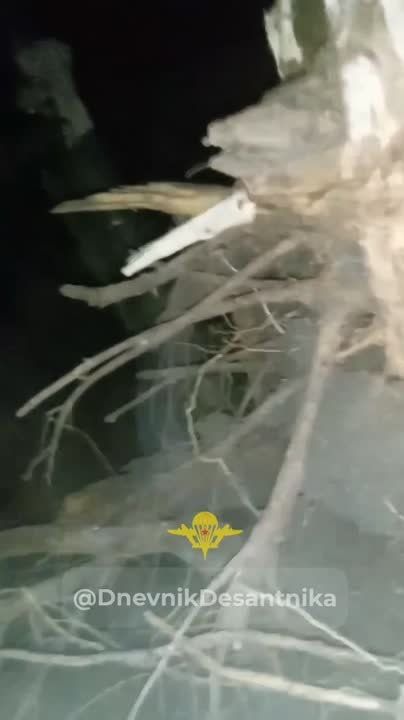 ����������� �����������