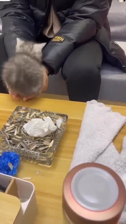 �� ����� ��� ������� �����