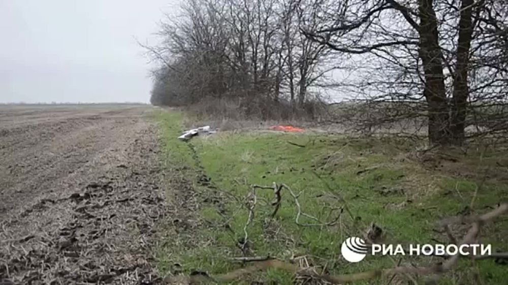 ��� ����� ������������ �� ����������� ����������� ��������� ����
