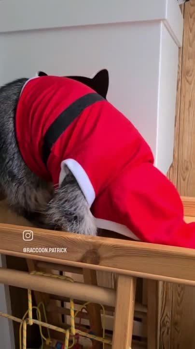 ������ ����, ������! �������� ��� ��� � ��������� ����������!
