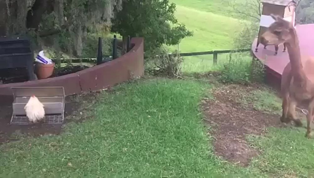 ������ �����������, ��� �������� � ��������, � ������ ������� ��������� �, ����� ������� �� ����� ��� ���
