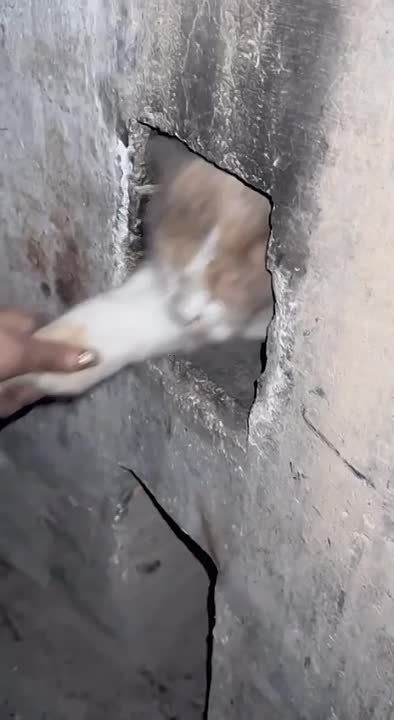 �������� ����������. �������������� ��
