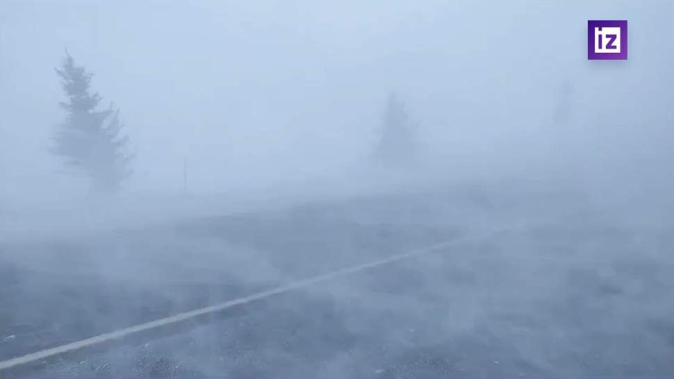 Большая часть Херсонской области оказалась обесточена из-за аварии в электросетях