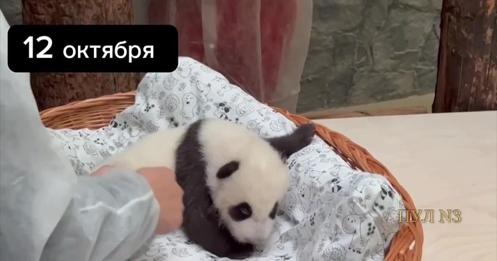 ������ ������ ����� ��������� ����� ������ �� ����������� ��������