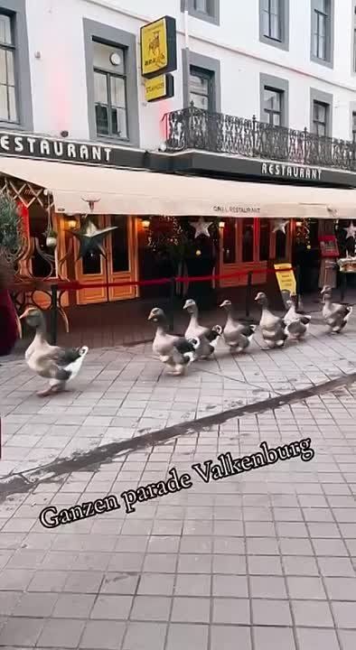 � ����������� ������ ��� ������������ ����� ������� �����