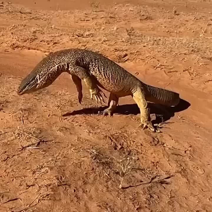 ������� �����. ������� ������� �� ��������� �������, ��������� �� ������ ��������� � �� ��� ����� ������