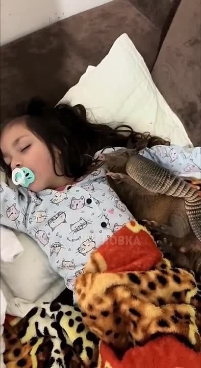 ��������� ����� ��� ���������� ������!� �������� ���������� ������ � ��� � ������� � ������ ��� � ������� � ��������� ������� � ������