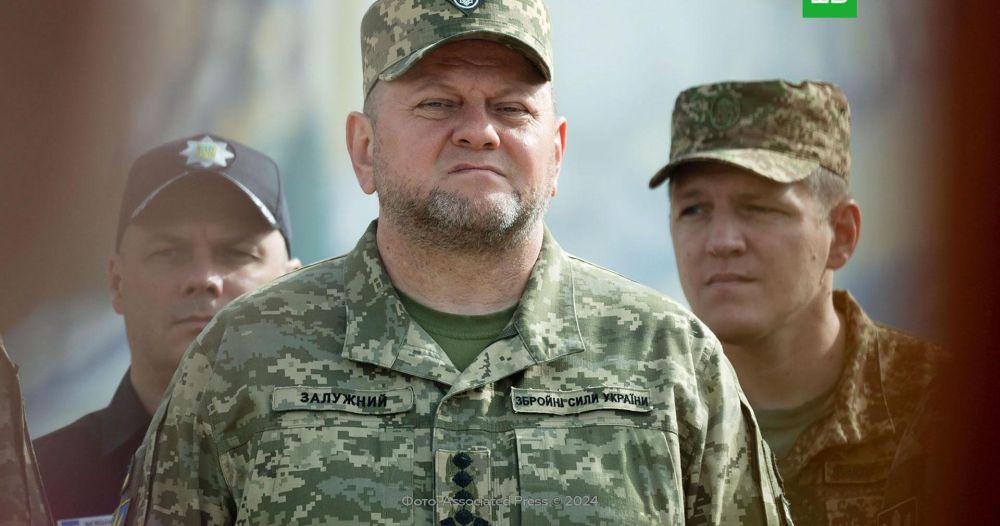 BI: ����� �� ��������� ���� ��������� �������� &laquo;�������&raquo; ����������� �&nbsp;�����