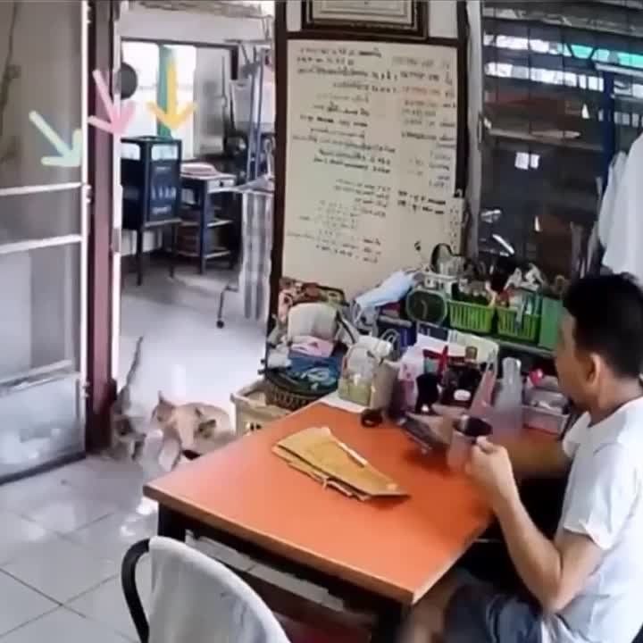 ��� ��������� ����� ������� � ������ ���� �����