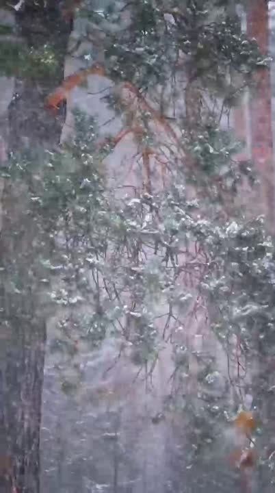 ����� ��� � �����!. ����������� ���� - ����� ������� ������ ������ � ���������� ��������