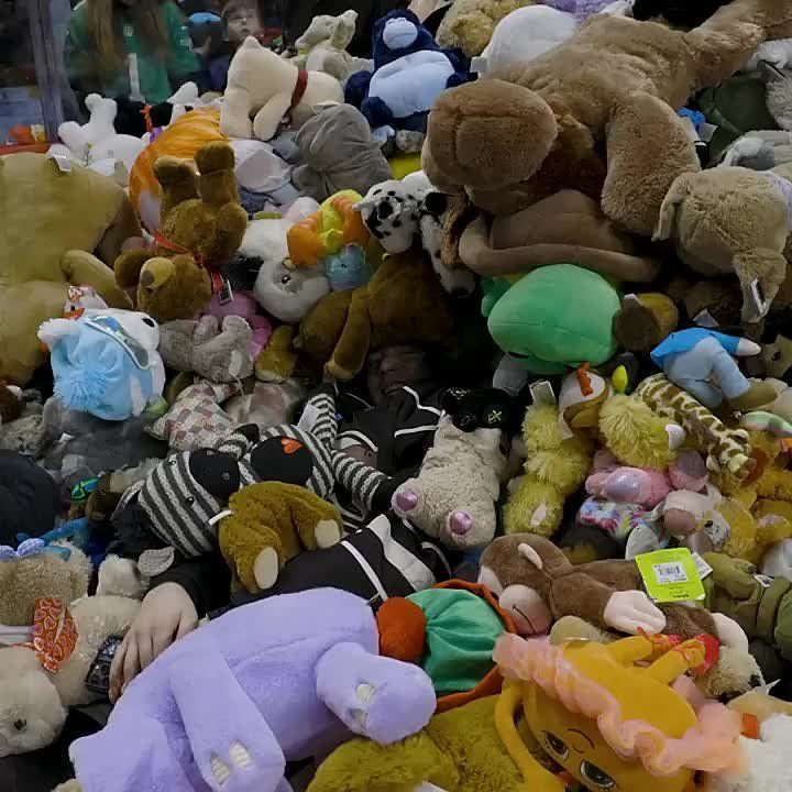 � ��� ���������� ��������� ������� ������ ����� ��������� �� ��� 74 599 ������ �������, ��������� ������
