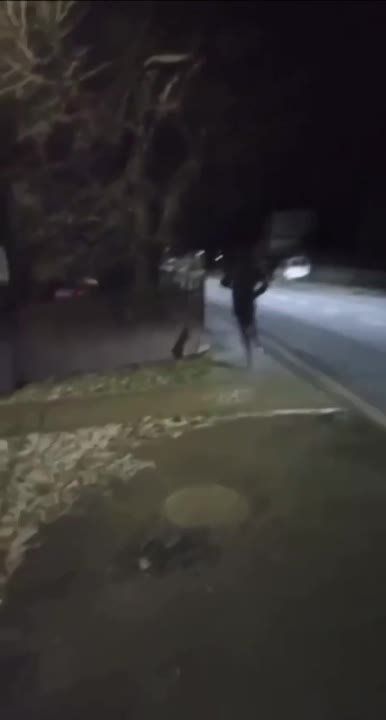 ��������� ����� ���������� � ���-�� � ������ ��� ����� ���������� ������, ��������� �� ����������� ����� ������� �����, ������� � ���� ������ ����������