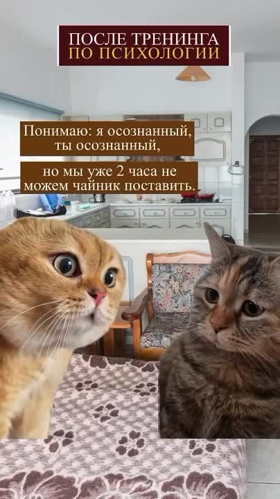 ������� �� ���� ��� ������� �� ����������