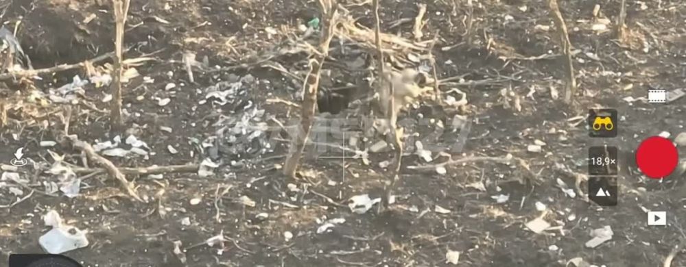 ���������� ������ ���������� ������� � FPV-������ 394 ��������������� ����� 127 �������������� ������� �� ������������� � ����������� ����� ���� ����������