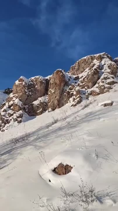 ����� ������� �������� � ������