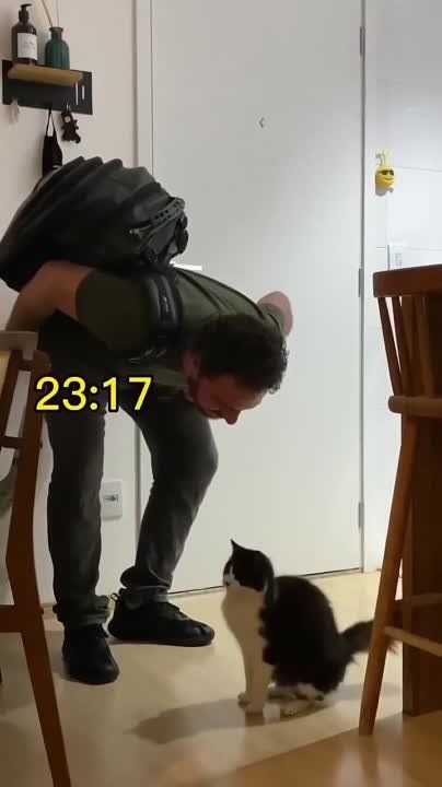 ����� ��������� ����. �������������� ��