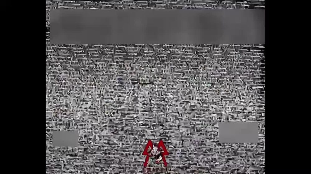 �������� ����� ������ ������ ���������� FPV-������ ��������� ������� �� ����������� ����� ���