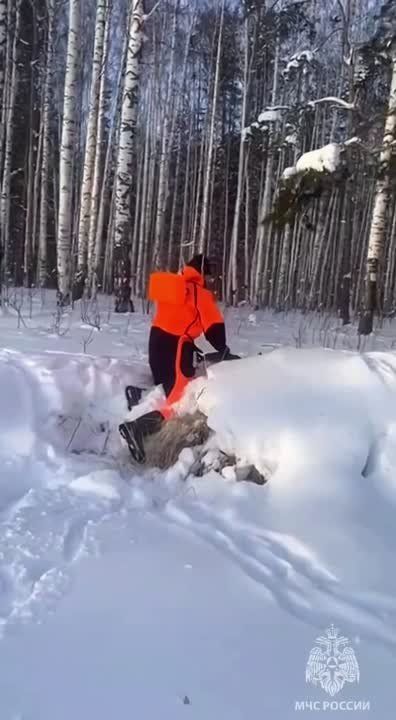 ��������� �������� ������������ ������
