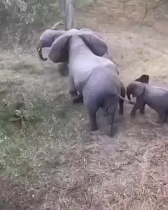 ����� ����������� ���������� ����� ������ ��������� �� ��������, �������� �������������� ����� � 360� �������