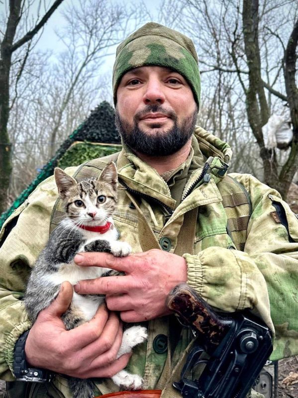 ����-11. �� ������ ������ �� ���� ������, �� �����������: