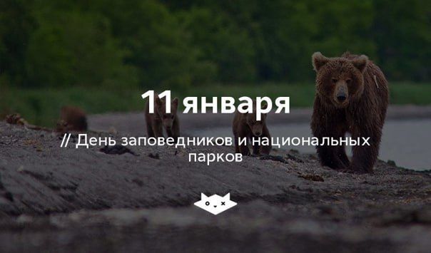�������� 11 ������ � ������ ���������� ���� ������������ � ������������ ������