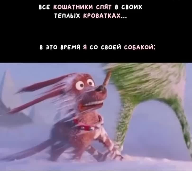 ������ ���� ����������. �������������� ��