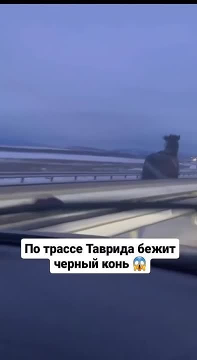 ���� ������ �� ������� � �����