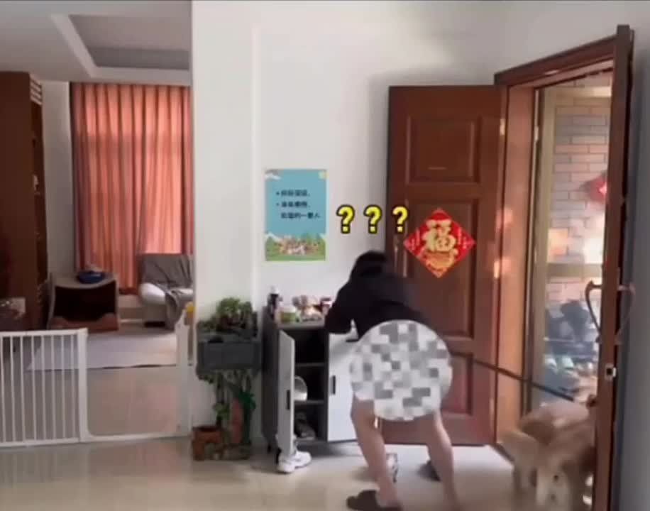 ������ ����, ��������!. ���������� �� �������� ��������!