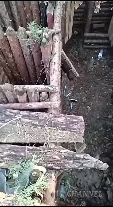 ���������� ���������� ��������, � ������� ��������� ���������� ��������������, �������� � ����
