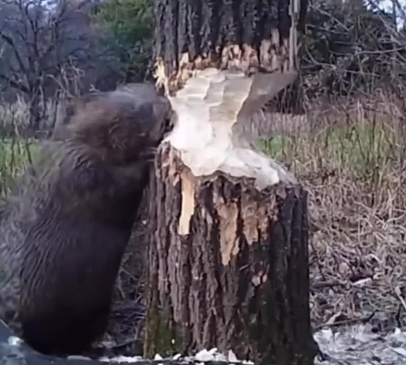 �����. ������ ������ ������ ������������. ��� ���� ����, ������ �������� ������ ����� � �����, ������, ���, ������. ��������� ����� ������������ ����������, ��������. � ����� ������� ��������� ��������� ���� �� 20% �� ��� ����
