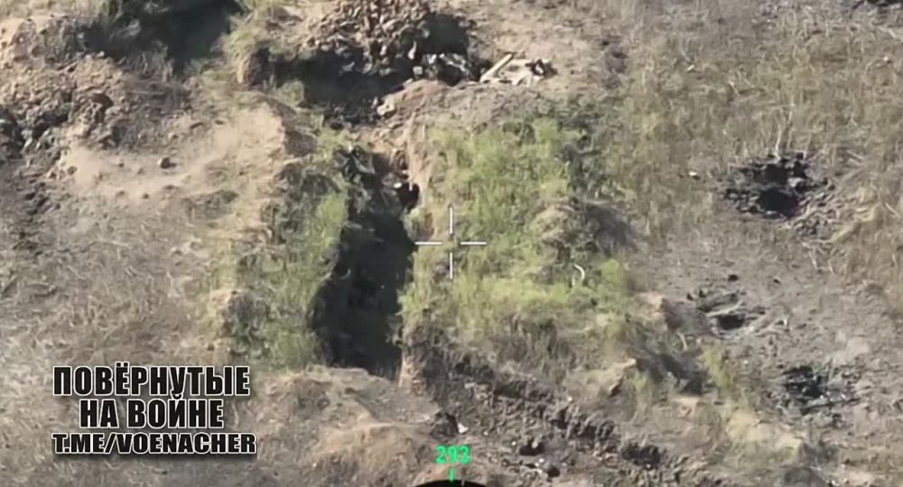����������� ����-����� �� ������� ����� �������