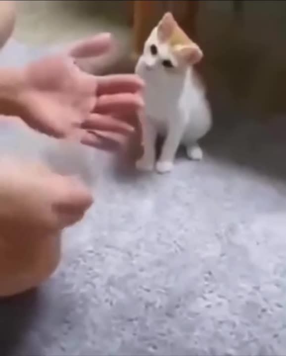 ������� ��� ��� �� �����