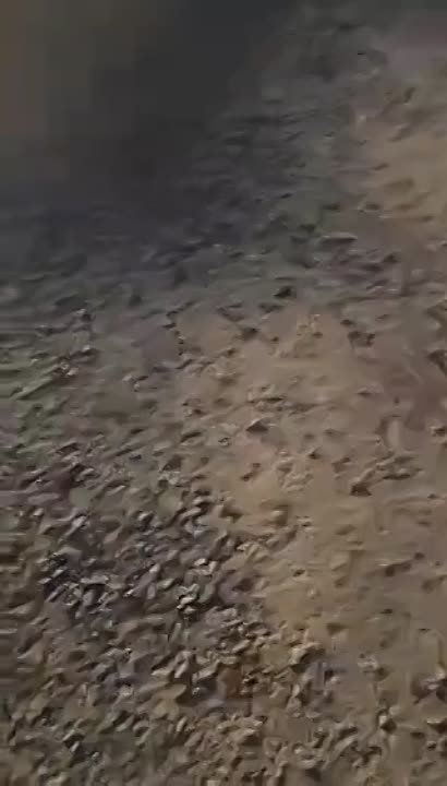 �������� �����: ������������ ��� �������� ��������