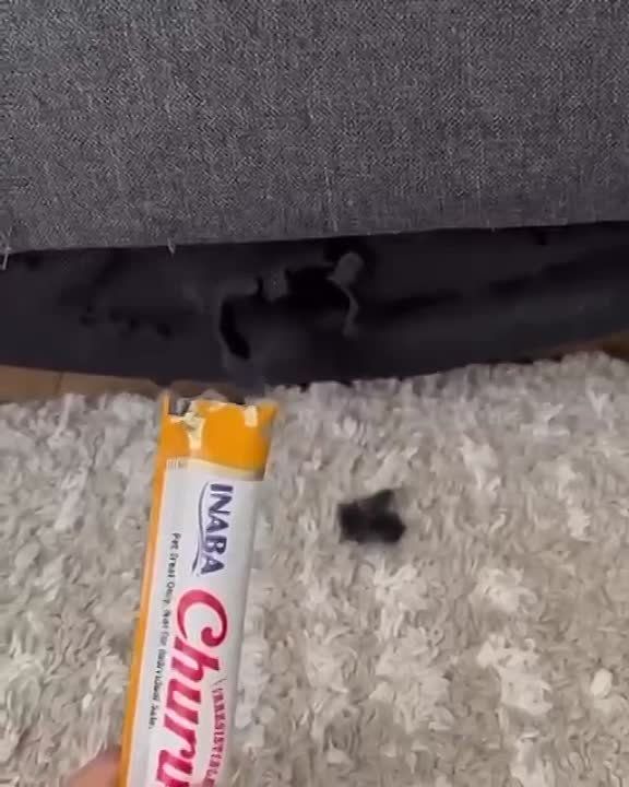 �� ��������� ������������� ����� �������� ������