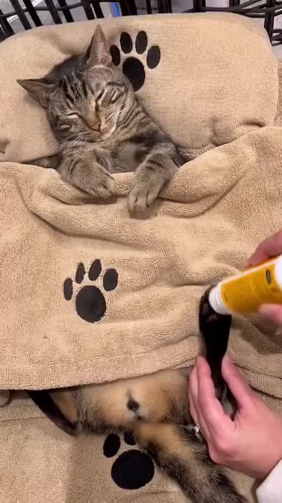 ������ ����, ������� ������!