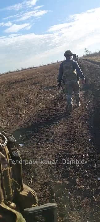 ������������ � ������ �.�. �������� �� ����������� ����������� ���������������� VAB (44) ���