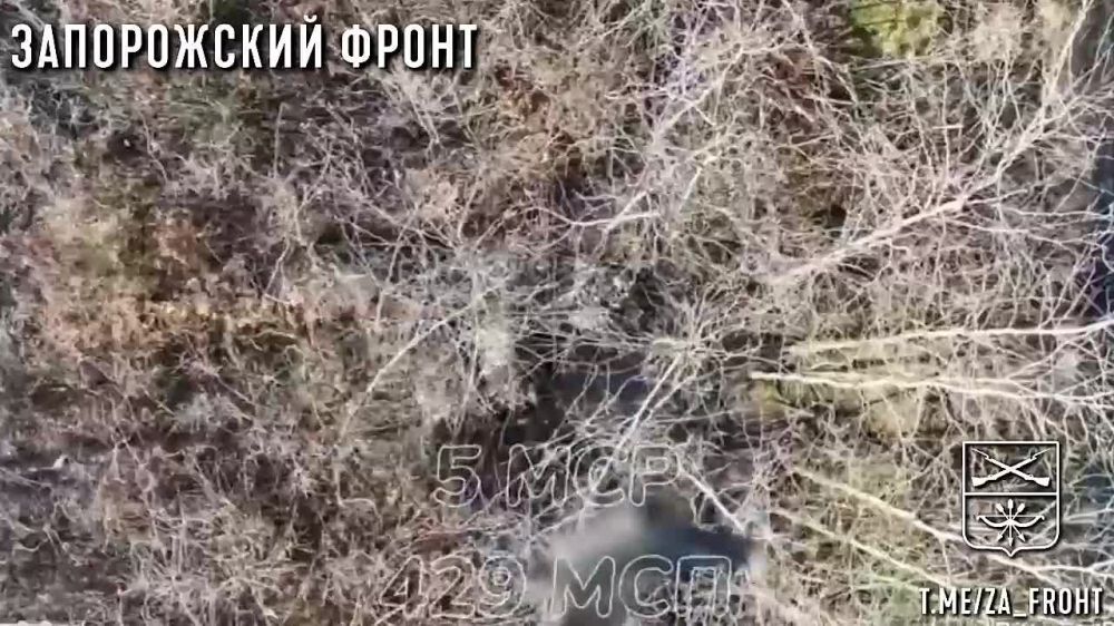 ��������� ������ 429 ����� ���������� ������������ ������� ��� � ������ �.�. ��������� �� ����������� �����������