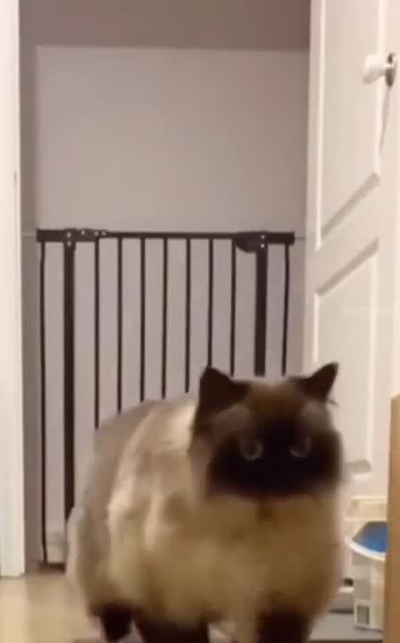 ������� ������ ��� � �����