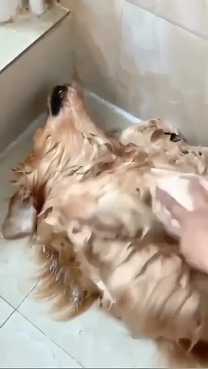 ������ ����, ��������!. �������, ����������� ��� ������, �� ���� ��������! �������������� ��