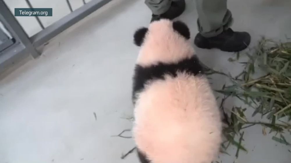 ����� ����� �� ���������� ��������