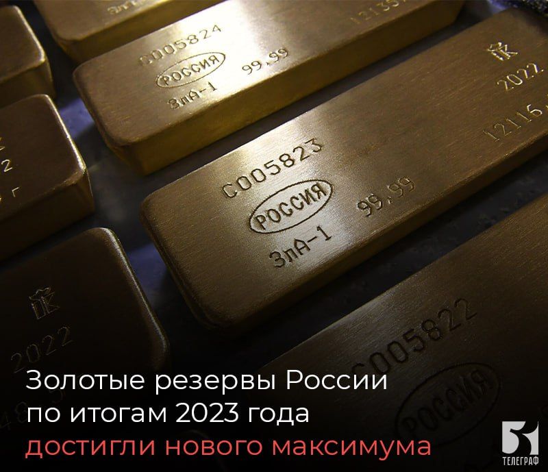 ������� ������� ������ �� ������ 2023 �������� ������ ���������