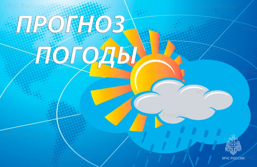 ����������������� ���������� � ����������� ������� �� 06.00 15.01.2024
