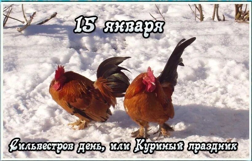 �������� ���������:. ����������� ���� - ������� ��������